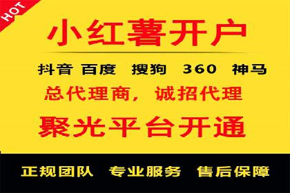 某公司通过百度竞价实现业务快速增长的案例